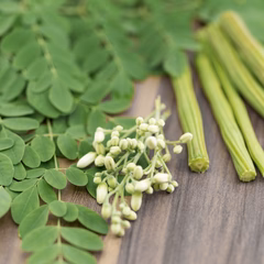 KONSENS Fussspray 250 ml Moringa (Meerrettichbaum) – pflegender Wirkstoff zur Stärkung der Hautbarriere