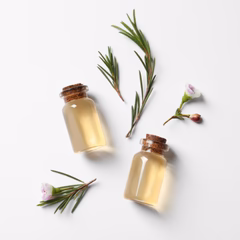 KONSENS Fussspray 250 ml Teebaumöl – antibakterieller Schutz für gesunde und frische Füsse